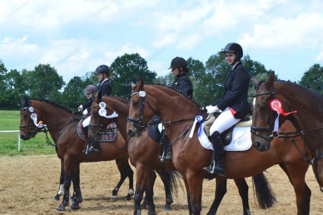 reitertag 2013 133
